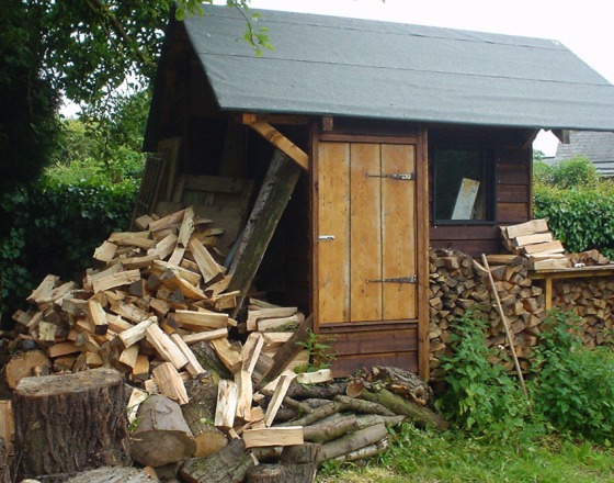 shed with logs