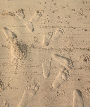 M footprints